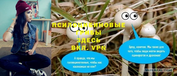 твердый Алексеевка