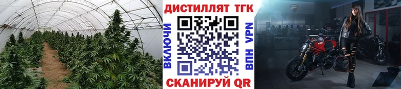 продажа наркотиков  Яблоновский  ТГК вейп с тгк 
