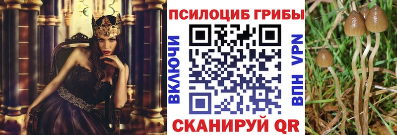 купить  цена  даркнет состав  Галлюциногенные грибы Cubensis  Яблоновский  ОМГ ОМГ ссылка 